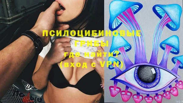 винт Кодинск