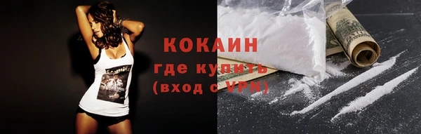винт Верея