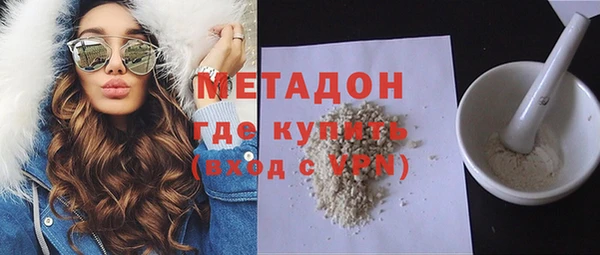 прущие грибы Каменка