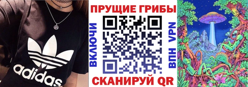 darknet как зайти  Кирсанов  Псилоцибиновые грибы Psilocybe  где купить наркоту 